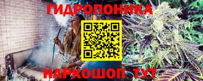 спайс Кунгур